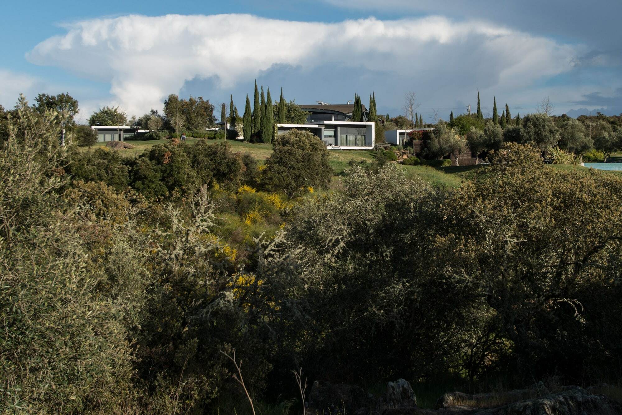 Herdade Da Cortesia Hotel Aviz Eksteriør bilde